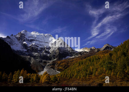 Shangri La, ein Panorama der Heiligen schneebedeckten Berg Chenrezig und gelb orange farbigen Herbst Bäume im Tal in Yading nationaler Ebene finden Stockfoto