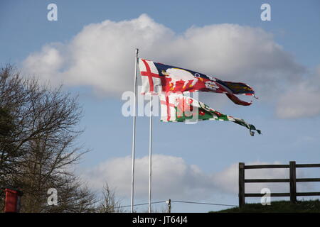 Schlacht von Bosworth Website Stockfoto