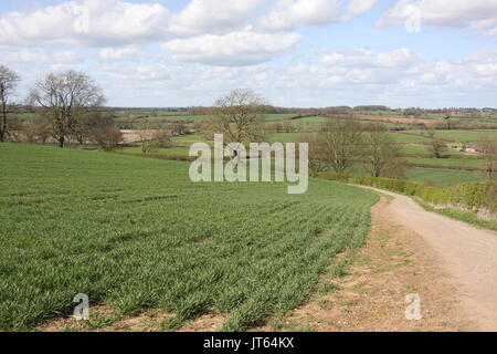 Schlacht von Bosworth Website Stockfoto