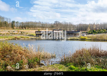 Nationale Bedgebury Pinetum See, Café und Besucherzentrum, Bedgebury, Kent, South East England im Frühjahr Stockfoto