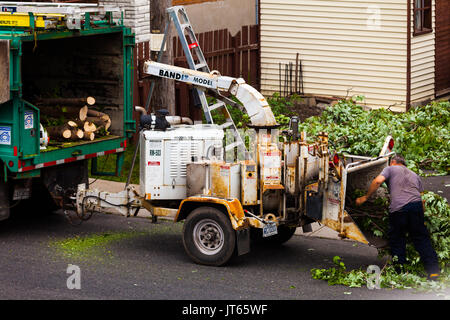 11. Juni 2015, Montreal, Kanada. Baum Shredder Maschine in Aktion und der Arbeitnehmer sie Niederlassungen in es nach dem Schneiden der Baum. Stockfoto