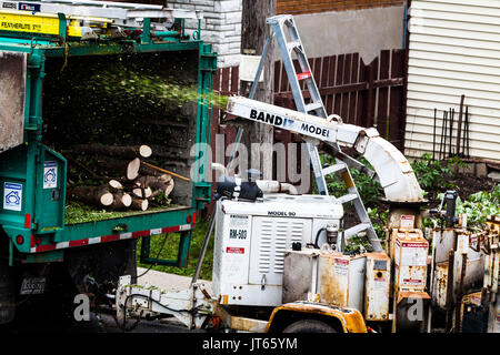 11. Juni 2015, Montreal, Kanada. Baum Shredder Maschine in Aktion und der Arbeitnehmer sie Niederlassungen in es nach dem Schneiden der Baum. Stockfoto