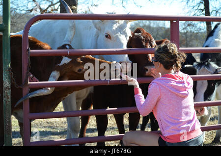 Mädchen in rosa Jacke am roten Tor auf Bauernhof liebevoll auf Ihr Eklektischer Rinder, porträtiert die Landwirtschaft Liebe und Lifestyle. Stockfoto