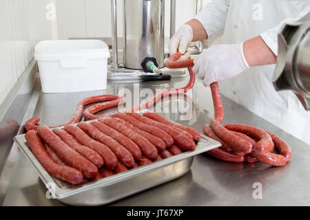 Bauernhof Verarbeitung: Vorbereitung von merguez Würstchen in einer Farm Stockfoto