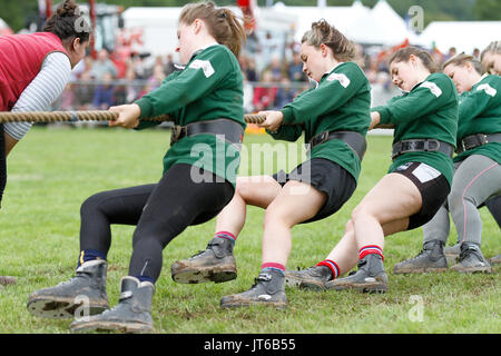 Frauen Tauziehen Stockfoto