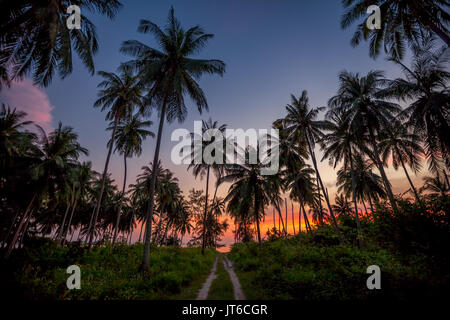 Palmen Silhouetten während einer bunten tropischen Sonnenuntergang an Nathon Strand von Laem Yai, Koh Samui, Thailand Stockfoto