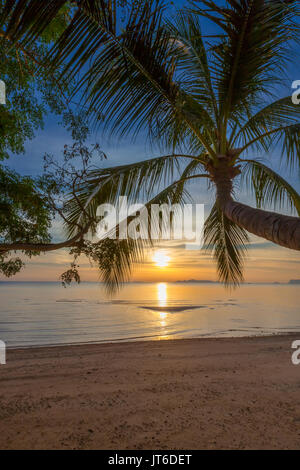 Palm Tree Silhouette bei einem bunten tropischen Sonnenuntergang an Nathon Strand von Laem Yai, Koh Samui, Thailand Stockfoto