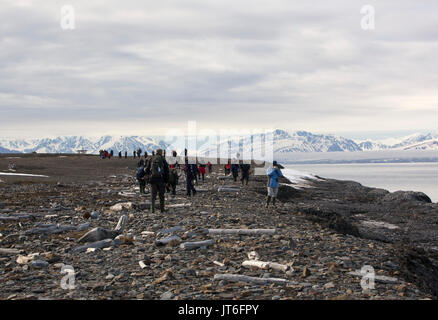 Touristen aus Expedition Cruise Ship zu Fuß entlang der Küste, mit Treibholz übersät, Mushamna Bay, Woodfjorden. Im Juni, Spitzbergen, Svalbard, Stockfoto