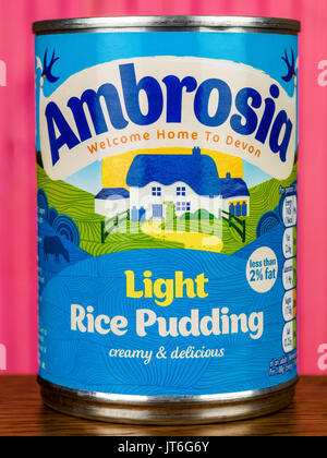 Können oder Zinn von Ambrosia Licht Milchreis Agaqinst ein Rosa Holz- Hintergrund Stockfoto