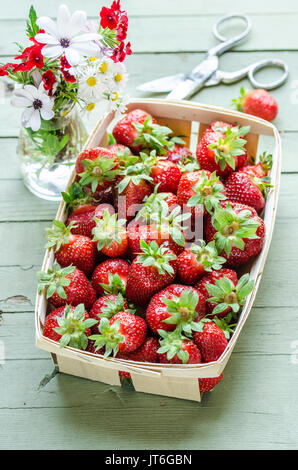 Erdbeeren in einem Korb Stockfoto