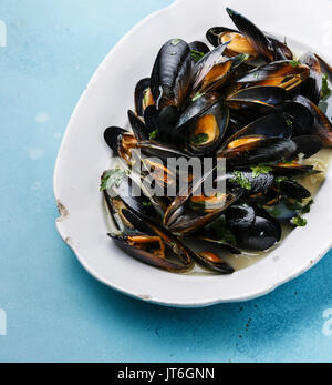 Muscheln auf weiße Platte auf blauem Hintergrund close-up Stockfoto