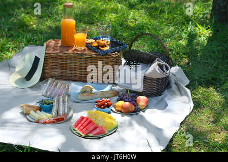 Sommer Picknick Szene im Park mit frischem Obst, Sandwiches, Korb und Zubehör Stockfoto