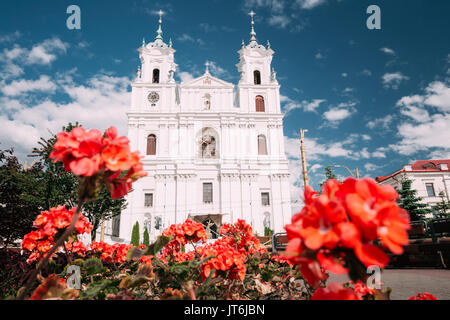 Grodno, Weißrussland. Wahrzeichen ist die Kathedrale von St. Francis Xavier am sonnigen Sommertag in Hrodna, Weißrussland. Stockfoto