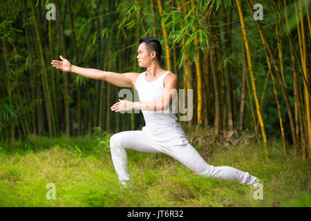 Asiatischer mann Üben von Tai Chi in einen Garten. gesunder Lebensstil und Entspannung Stockfoto