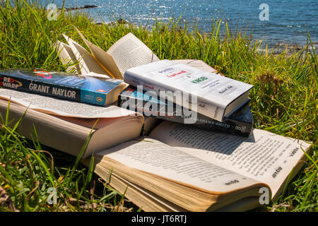Viele Bücher am Strand. Costa del Sol, Málaga Provinz. Andalusien, Süd Spanien Europa Stockfoto