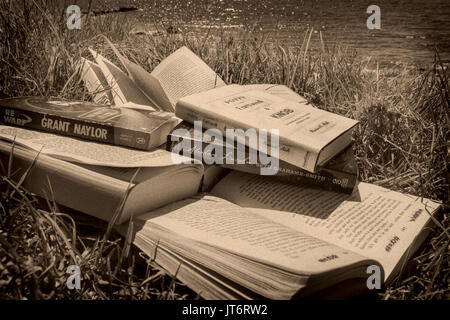 Viele Bücher am Strand. Costa del Sol, Málaga Provinz. Andalusien, Süd Spanien Europa Stockfoto