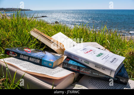 Viele Bücher am Strand. Costa del Sol, Málaga Provinz. Andalusien, Süd Spanien Europa Stockfoto