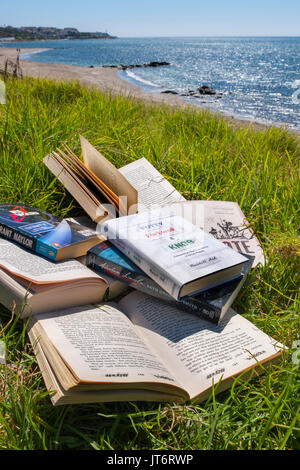 Viele Bücher am Strand. Costa del Sol, Málaga Provinz. Andalusien, Süd Spanien Europa Stockfoto