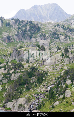 Colomers Seen in den katalanischen Pyrenäen, Spanien. Teil des Parc Nacional d'Aigüestortes i Estany de Sant Maurici Stockfoto