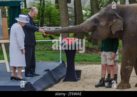 Ihre Majestät Königin Elizabeth II. und Seine königliche Hoheit Prinz Philip, feed Donna, eine asiatische Elefanten Bananen, ZSL Whipsnade Zoo Stockfoto