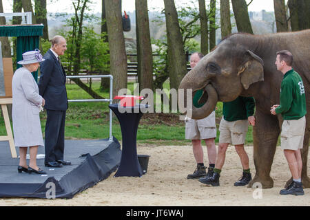 Ihre Majestät Königin Elizabeth II. und Seine königliche Hoheit Prinz Philip, feed Donna, eine asiatische Elefanten Bananen, ZSL Whipsnade Zoo Stockfoto