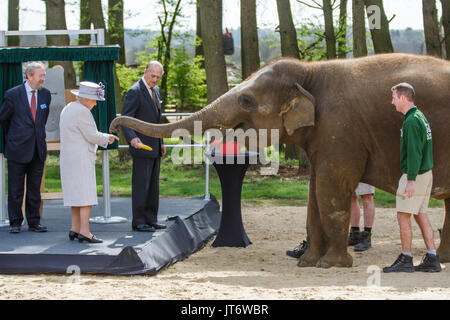 Ihre Majestät Königin Elizabeth II. Weist auf eine Banane gehalten von seiner Königlichen Hoheit Prinz Philip, als Donna, eine asiatische Elefanten, sucht Nahrung von den Monarchen mit ihrem Koffer Stockfoto