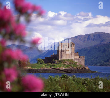 Ein bunter Sommer Blick Richtung Eilean Donan Castle am Ufer des Loch Duich, Dornie, Highlands gelegen Stockfoto