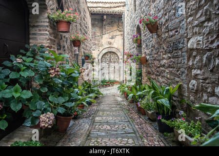 Eine schmale Straße mit Kopfsteinpflaster, die zu einer alten Tür in der mittelalterlichen Stadt Spello ist mit bunten Blumentöpfen gesäumt. Stockfoto