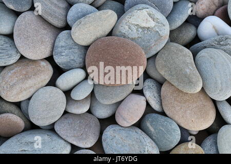 Runden Kieseln am Strand, Schottland Stockfoto