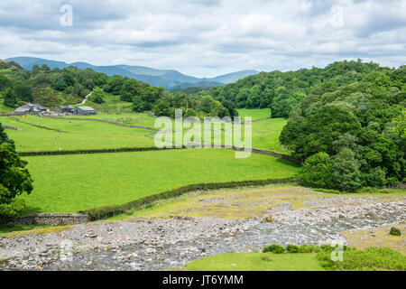 Tilberthwaite im Lake District National Park, Cumbria, mit Feldern, Wiesen und Wald Stockfoto