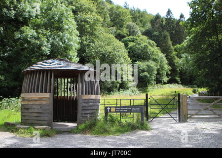 Der Weg bis zu Aber fällt im Norden von Wales. Stockfoto