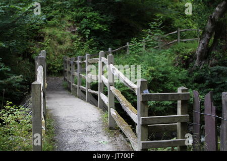 Der Weg bis zu Aber fällt im Norden von Wales. Stockfoto