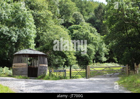 Der Weg bis zu Aber fällt im Norden von Wales. Stockfoto