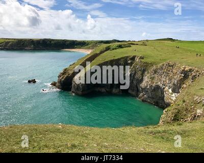 Küste über Barafundle Bay Beach in Wales Stockfoto