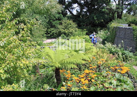 Robinson Garten, RHS Garden Hyde Hall Flower Show 2017, Chelmsford, Essex, England, Großbritannien, USA, UK, Europa Stockfoto