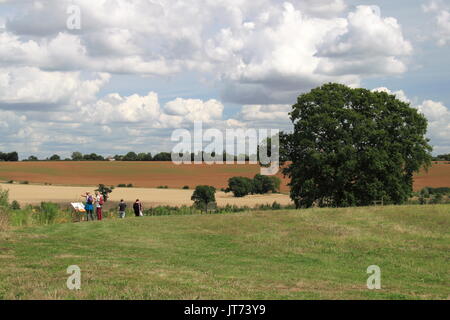 Big Sky Wiese, RHS Garden Hyde Hall Flower Show 2017, Chelmsford, Essex, England, Großbritannien, USA, UK, Europa Stockfoto