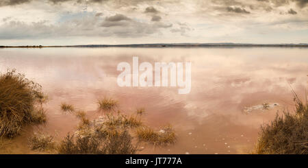 Parque Natural de Las Lagunas de La Mata y Torrevieja. Laguna Salada de la Mata, Salt Lake. Rojales. Costa Blanca, Alicante, Spanien, Europa Stockfoto