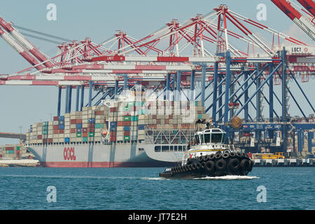 Millennium Maritime Traktorschlepper TIM QUIGG übergibt das Containerschiff, OOCL TAIPAI, Entladen in der Long Beach Container Terminal, Kalifornien, USA. Stockfoto