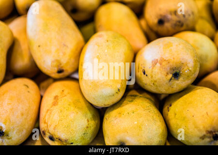 Makro Nahaufnahme der Haufen von vielen Champagner Mangos in Farmer's Market Stockfoto