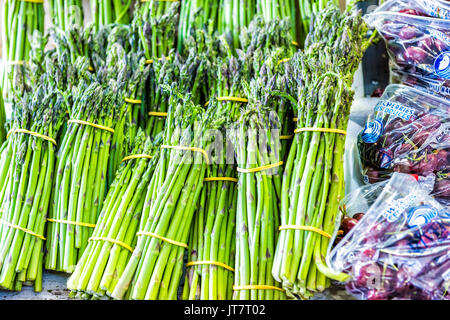 Montreal, Kanada - 28. Mai 2017: Spargel und Kirschen auf Anzeige an jean-talon Bauernmarkt im Sommer Stockfoto