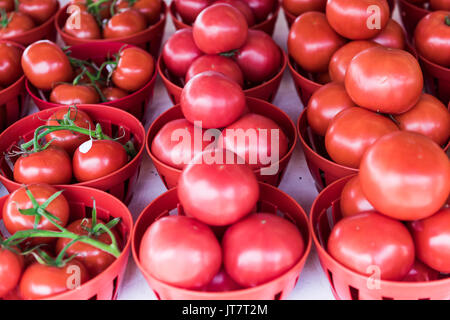 Viele pink, lila und roten Rebsorten werden die sonnengereiften Tomaten in Körben auf Farmers Market Stockfoto