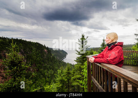 Junge Frau mit Blick auf die fantastische Natur von einem Aussichtsturm in Québec, Kanada. Stockfoto