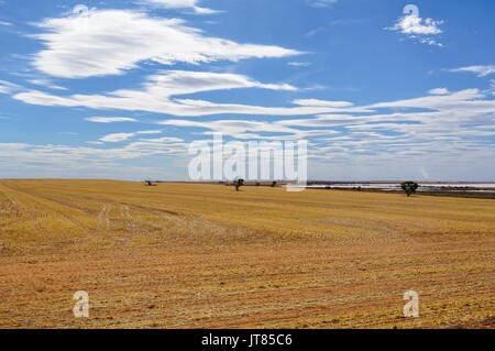 Blauer Himmel mit Wolken über dem See Tyrrell und Ackerland nach der Ernte in der Nähe von See, Victoria, Australien Stockfoto