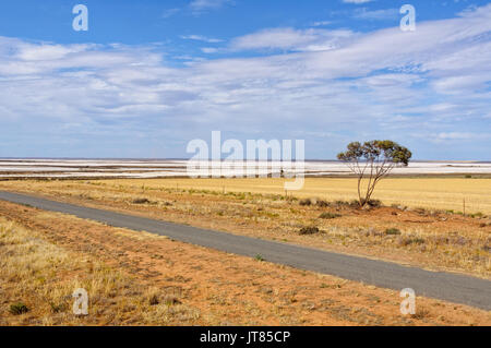 See Tyrrell auf See See ist der grösste Salzsee in Victoria, Australien Stockfoto
