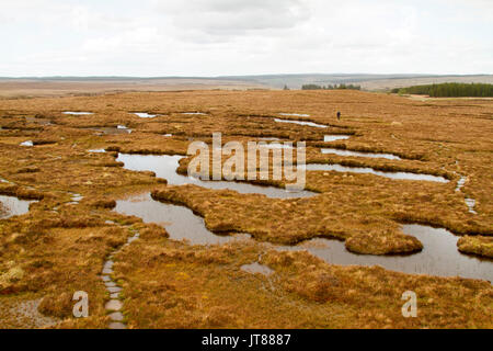 Landschaft dominiert von torfmoor und unzähligen Pools von Wasser unter den regnerischen Himmel bei Forsinard RSPB Ort in Schottland Stockfoto