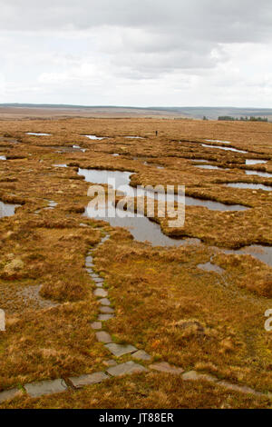 Landschaft dominiert von torfmoor & Pools von Wasser unter den regnerischen Himmel bei Forsinard fließt RSPB Ort in Schottland Stockfoto