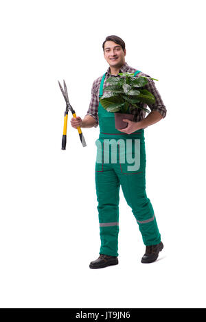 Junger Mann Gärtner isoliert auf weiss Stockfoto