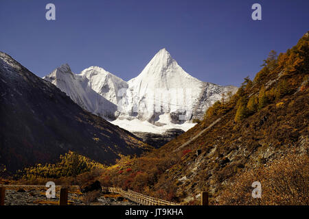 Shangri La, Panorama der Heiligen schneebedeckten Berg Jambeyang und gelb orange Herbst Bäume im Tal mit hölzernen Fußweg Brücke in Yading nationalen Stockfoto