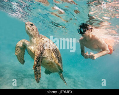 Junge schnorchel Synchron Schwimmen mit großen Erwachsenen grüne Meeresschildkröte (Chelonia mydas) in exotischen Tropen Paradies. Marsa Alam, Ägypten. Sommerurlaub Vaca Stockfoto