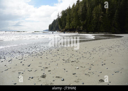 Ein paar Surfer auf Pacheedaht Strand, auf einem nativen finden mit dem gleichen Namen, in der Nähe von Port Renfrew, Vancouver Island, British Columbia, Kanada. Stockfoto